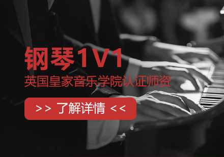 上海鋼(gang)琴一(yi)對一(yi)培訓課程(cheng)