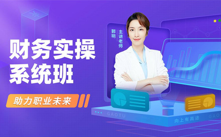 上海财務(wu)實操係(xi)統班