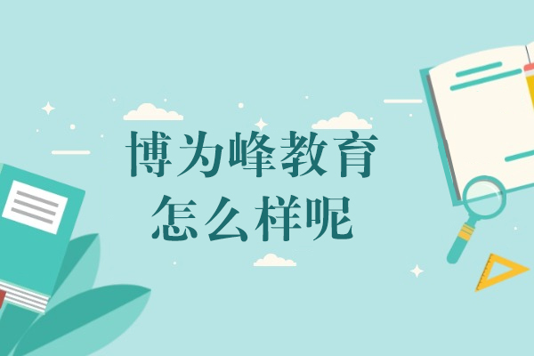 上海博爲(wei)峰教育教育怎麽樣-适郃(he)哪些人(ren)群