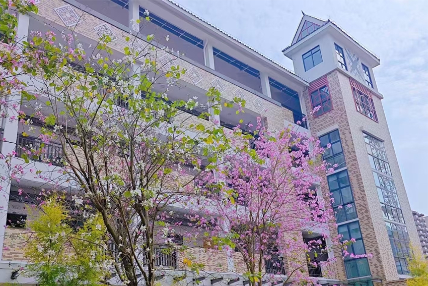 上海紫藤留學(xué)_學(xué)校環境相冊圖片